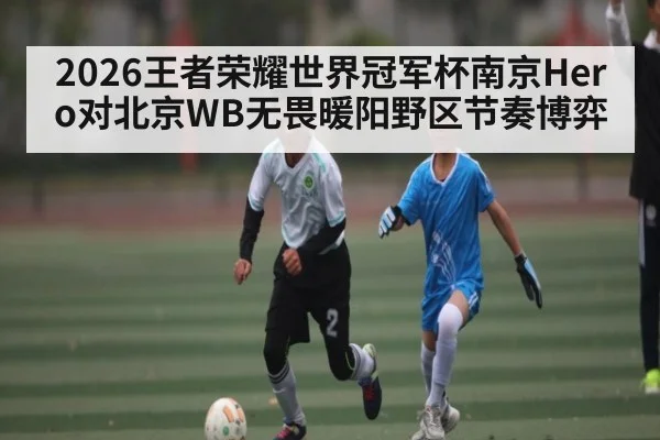 2026王者荣耀世界冠军杯南京Hero对北京WB无畏暖阳野区节奏博弈 | c7c7